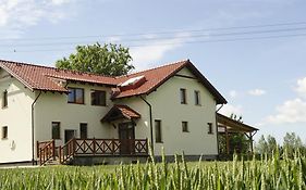 Bajanówka